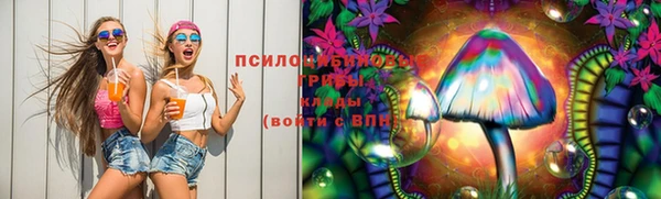 мет Елабуга