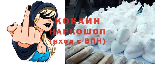 мет Елабуга
