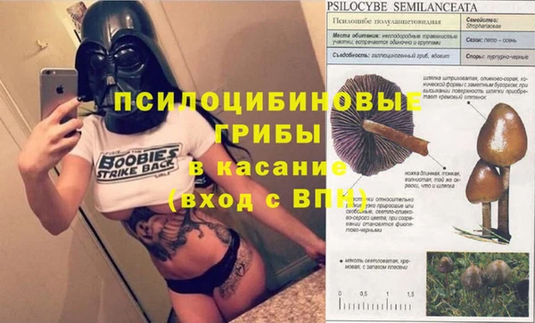 mdma Ельня
