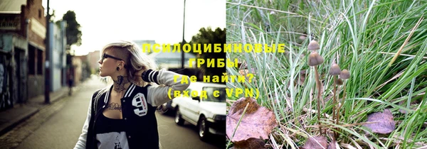 мет Елабуга