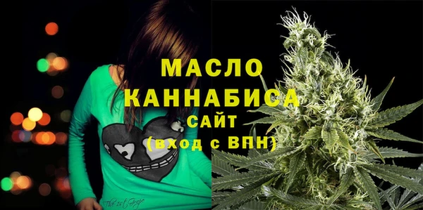 мет Елабуга