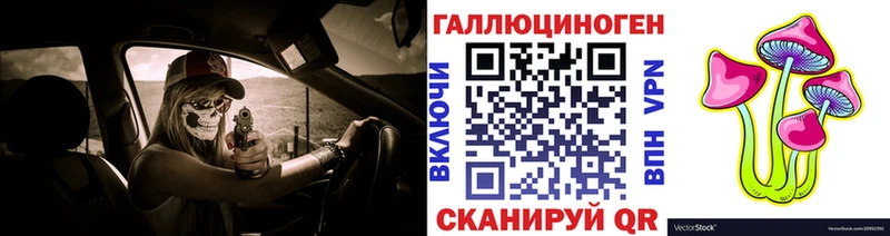 Купить  Ладушкин  Галлюциногенные грибы Psilocybine cubensis 